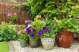 How To Arrange Potted Plants On A Patio