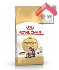 royal canin maine for