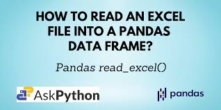 pandas read excel read an excel file