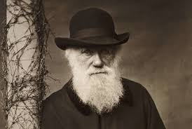Biography of Charles Darwin, 19th Century Naturalist