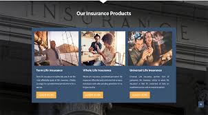 Cheney, brennan & associates insurance offers life insurance in new braunfels, tx. Sharkey Advertising Cave Cheney Sharkey Advertising