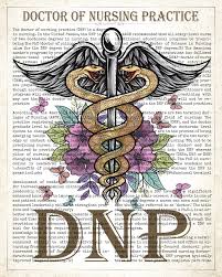 doctor of nursing practice print dnp
