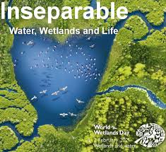 Medwet — Wetlands for a sustainable Mediterranean region