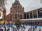 Image result for natural history museum ice rink