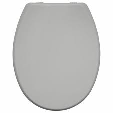 Traditional Toilet Seat Grey Bathroom
