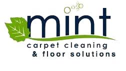 mint carpet cleaning and floor solutions