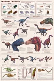 Feathered Dinosaurs Educational Poster