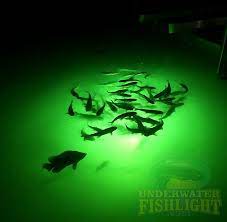 led fishing lights underwater fish light