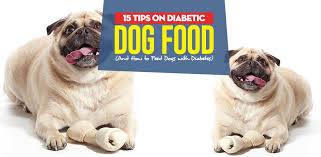 Choose low fat lean meats such as, fish, chicken, turkey, eggs. 15 Tips On Diabetic Dog Food And How To Feed Dogs With Diabetes