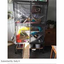 Rat Ferret Cage By Petplanet Free