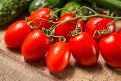 How long does it take for Roma tomatoes to fruit?