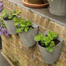Buy Embossed Wall Planters Antique Zinc