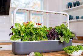 Click & grow smart garden 9 is the most advanced and easiest indoor gardening solution to grow fresh herbs and vegetables. Click And Grow Review My Real World Experience Smart Garden Guide