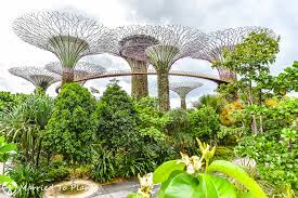 Tour Of Gardens By The Bay In Singapore