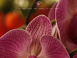 vanda orchidwire listings