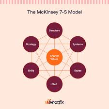 the mckinsey 7 s model framework
