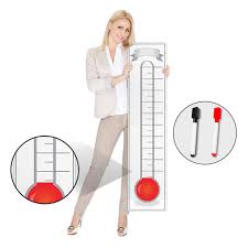 Goal Setting Fundraising Thermometer Chart 11x48 Giant Progress Meter Board Corrugated Plastic Company Sales Milestone Tracking Wall Charts