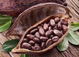 Cocoa Futures Cc Price Chart And Quote Get The Latest