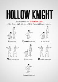 hollow knight workout