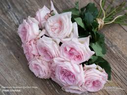 Pink O Hara Garden Rose Bouquet In