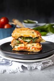 the best vegan panini recipe veggies