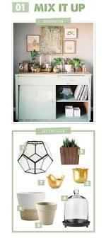 decorating with succulents modern