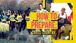 how to prepare for a cross country race