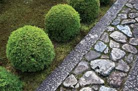 Moss In Japan S Gardens Garden Design