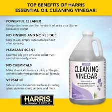 vinegar all purpose cleaner lavender