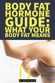 body fat hormone guide what your body