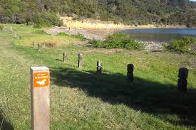Owhanake bay is situated northwest of oneroa. Trampers To Stride Out On New Big Loop At Waiheke Walking Festival Stuff Co Nz