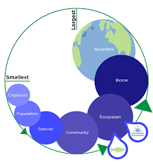 Ecosystem (Ecology) — Definition & Examples - Expii