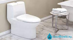 American Standard Toilet Bowl