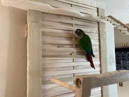 Birds Wall Perch For Conure Parrot