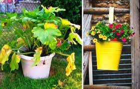 They contain very small, densely packed particles that hold moisture but don't allow much air space for plant roots. 10 Best Diy Cheap Container Vegetable Gardening Ideas Anyone Can Use Slick Garden