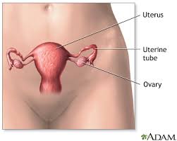hysterectomy information mount sinai