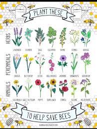 The benefit of using the best flowers for bees is more bees coming into your yard to pollinate the flowers. Flowers For Bees Coolguides
