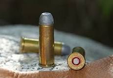 Image result for 44-40 ammo