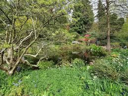 visit the birmingham botanical gardens