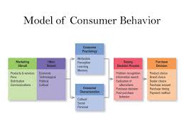 Image result for model consumer behavior
