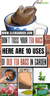 used tea bags fertilizer for plants