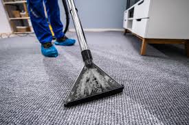 carpet cleaning and maintenance