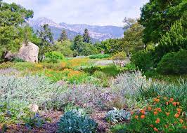 Love Santa Barbara Botanic Gardens