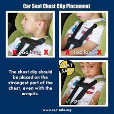Newborn Care Carseat Safety Car Seats