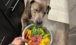 feeding your pet greens read this