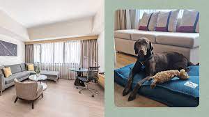 best pet friendly hotels in makati and