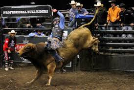 100 free bull riding hd wallpapers