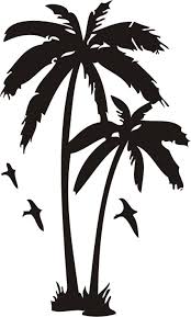 Znalezione obrazy dla zapytania palma