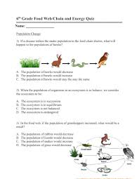 Help students practice calculating fractions and percentages with these math worksheets for seventh graders. Food Web Quiz Worksheet