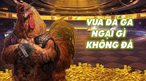 Đá gà Việt - Đá gà Việt updated their cover photo.